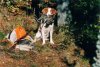 Chasse à la gélinotte