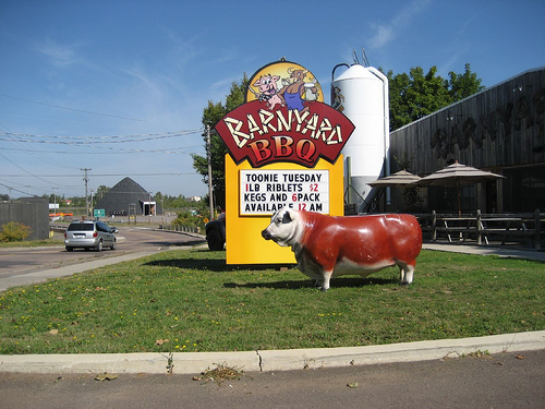 Gracieuseté de www.flickr.com (123K)