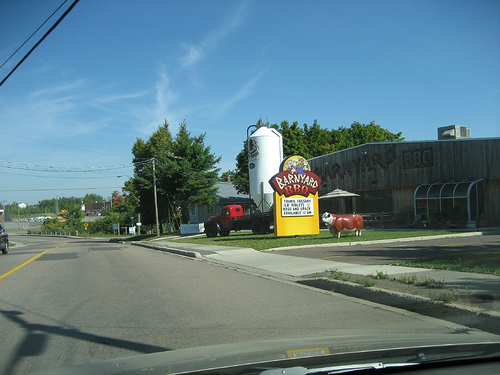 Gracieuseté de www.flickr.com (96K)